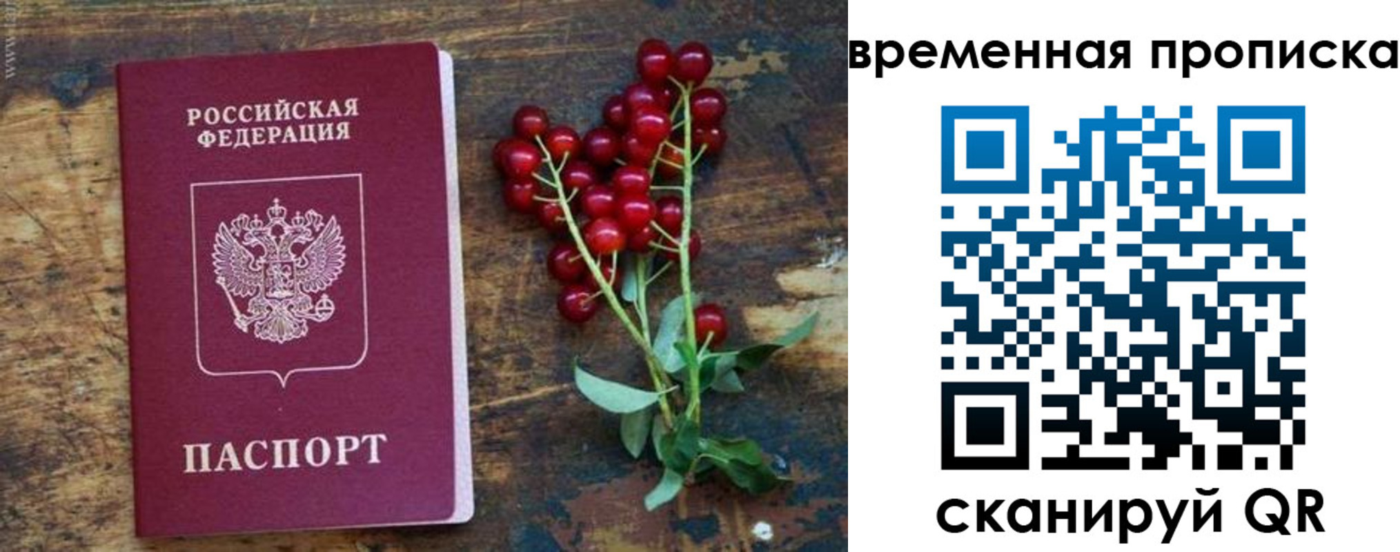 временная регистрация гарантия в Калаче